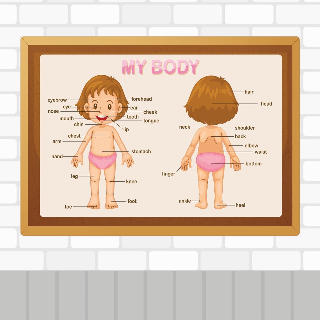 My Body Poster 1