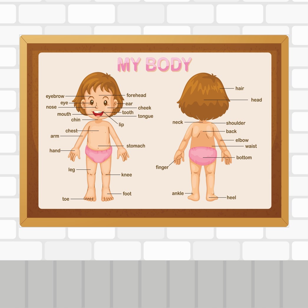 My%20Body%20Poster%201