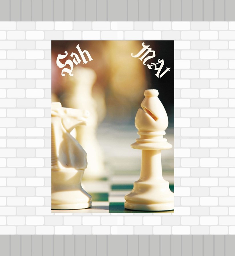 Satranç%20Poster%20P3
