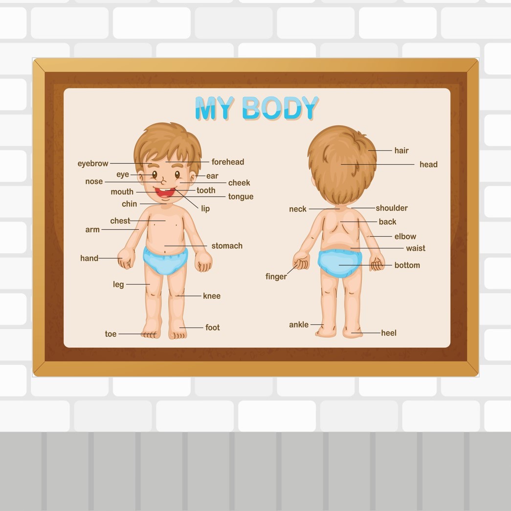 My Body Poster 2