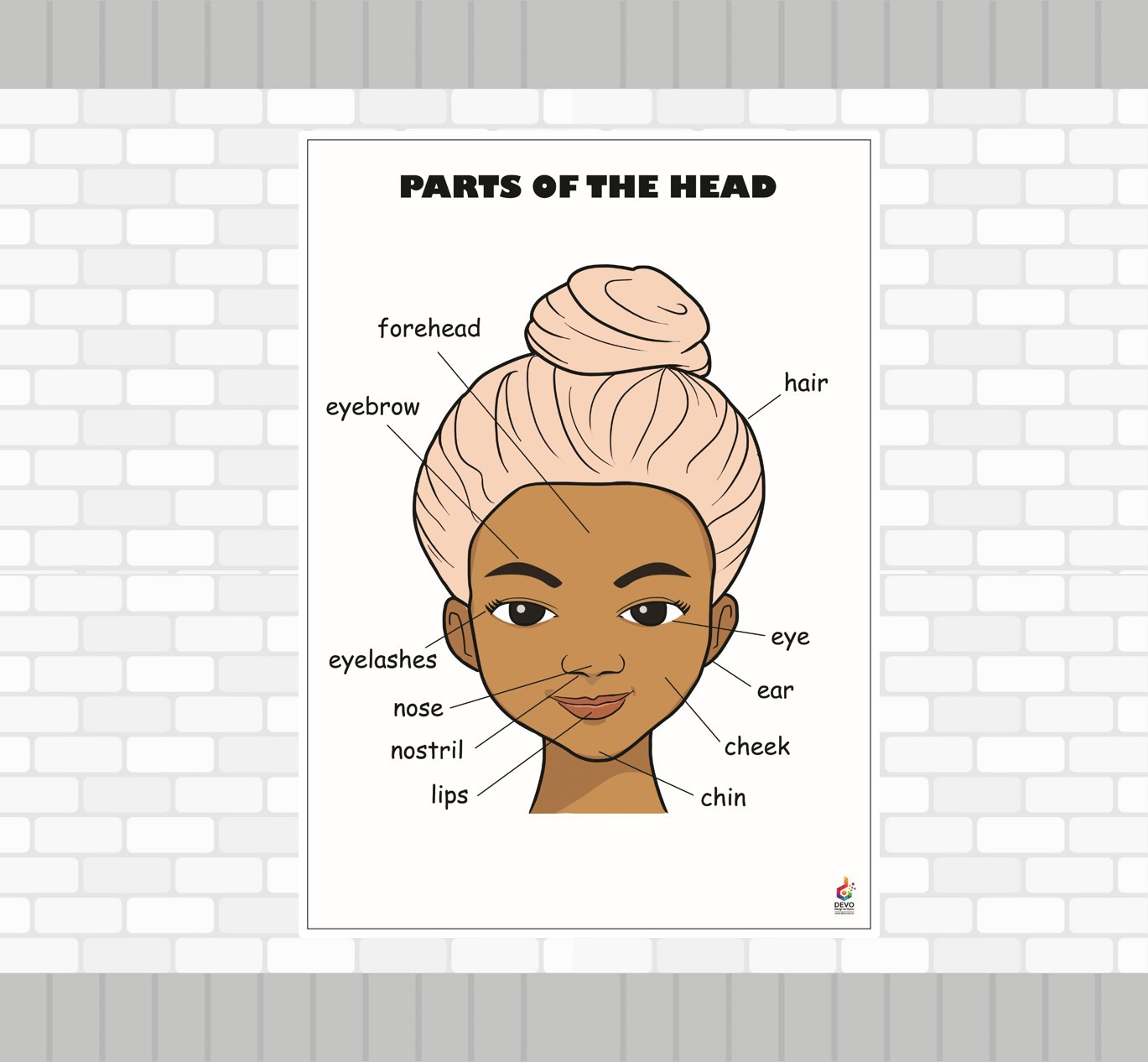 Parts Of The Head Poster - Başın Kısımları Posteri