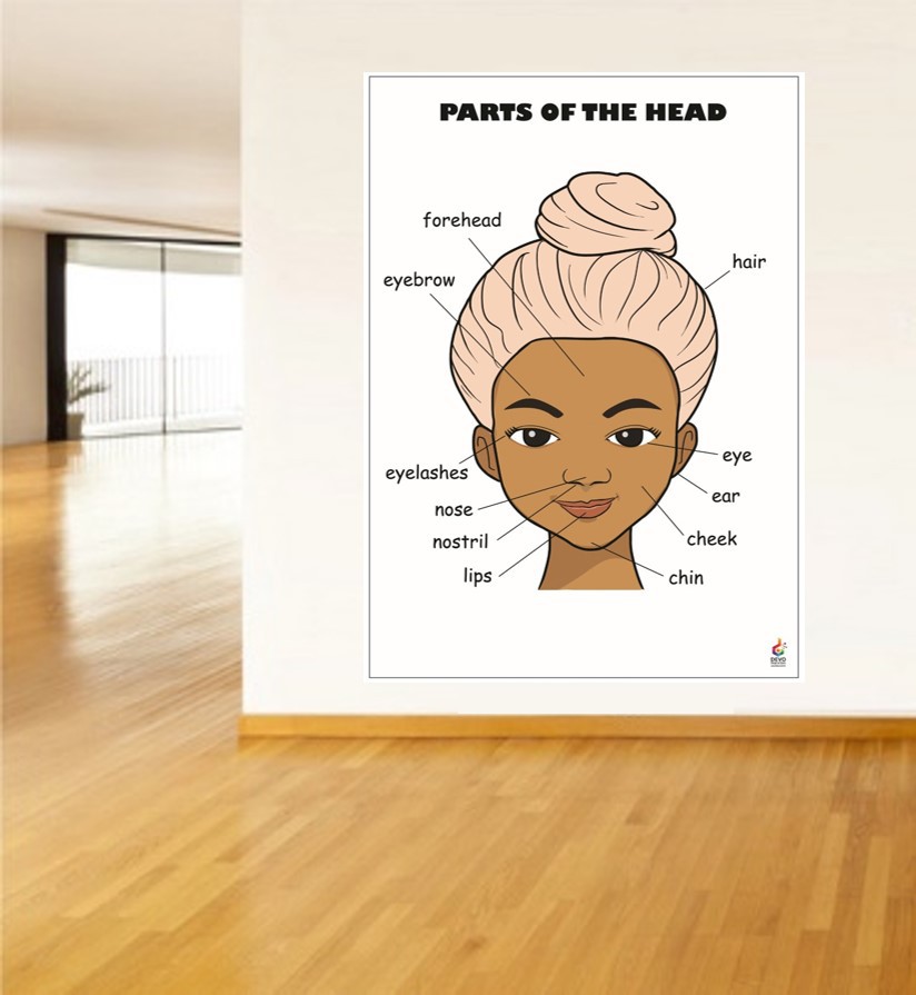 Parts Of The Head Poster - Başın Kısımları Posteri