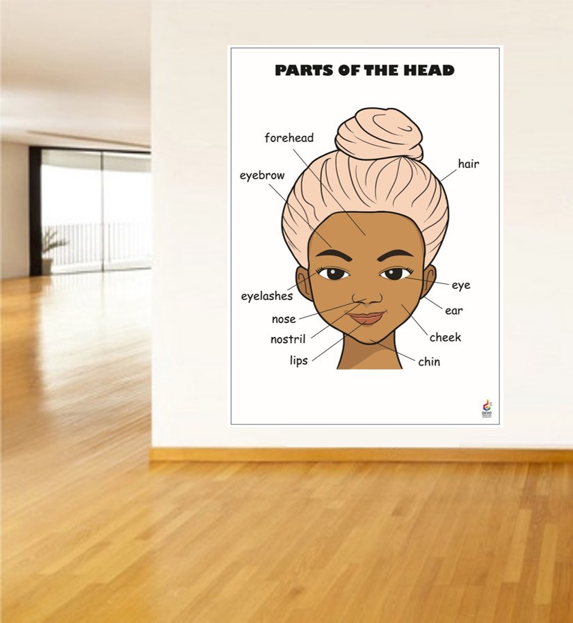 Parts%20Of%20The%20Head%20Poster%20-%20Başın%20Kısımları%20Posteri