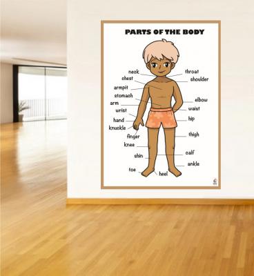 body poster, ingilizce vücudun bölümleri