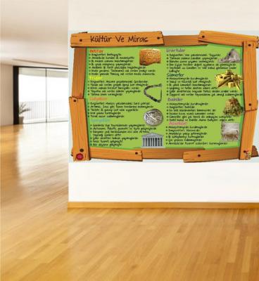 5. sınıf kültür ve miras poster, sosyal bilgiler poster,