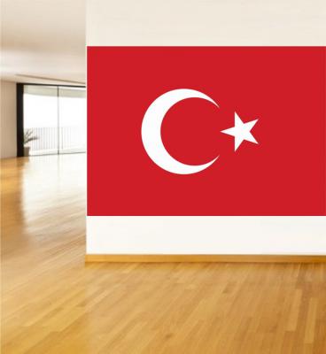 Türk Bayrağı Yapışkanlı Poster